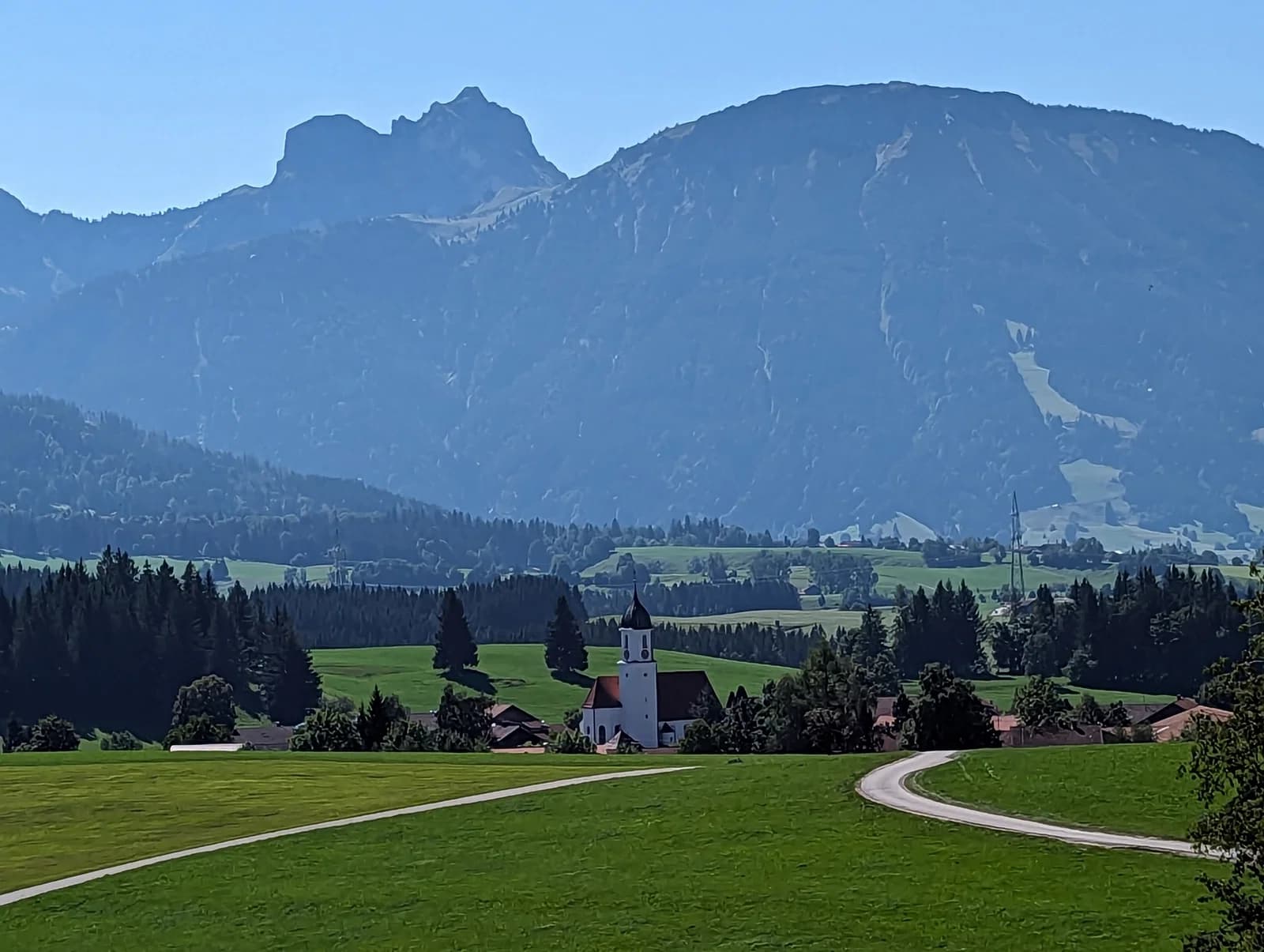 Zell