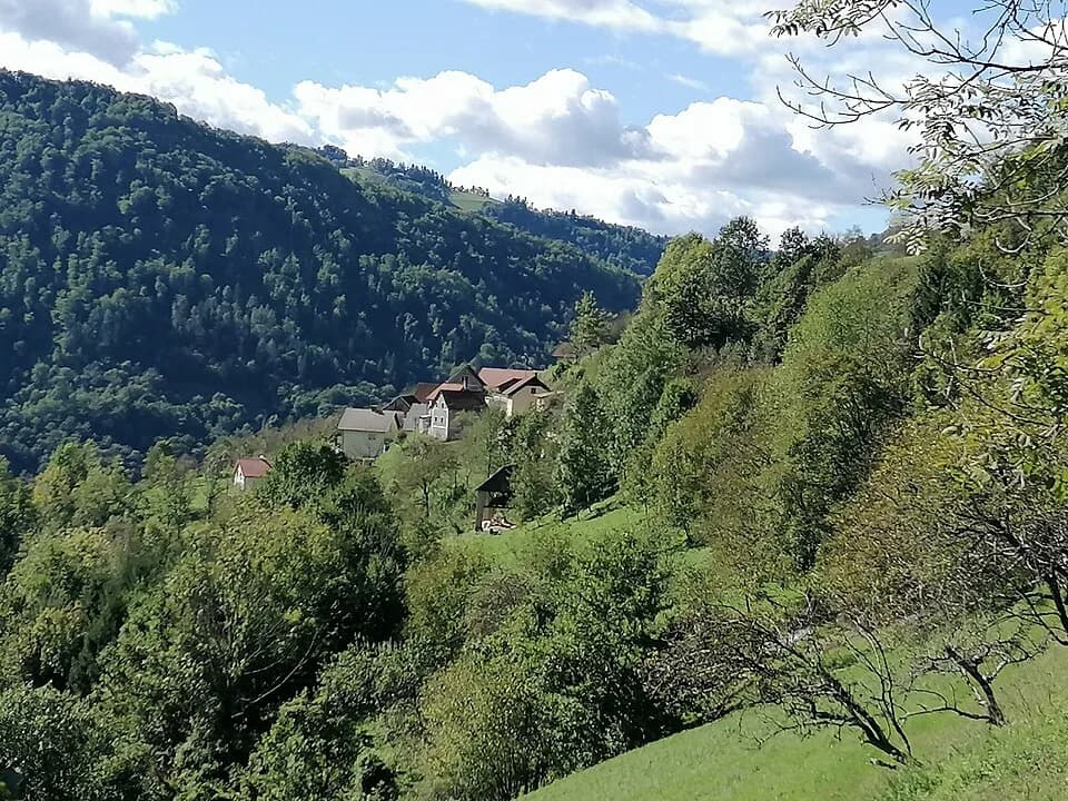 Plužnje