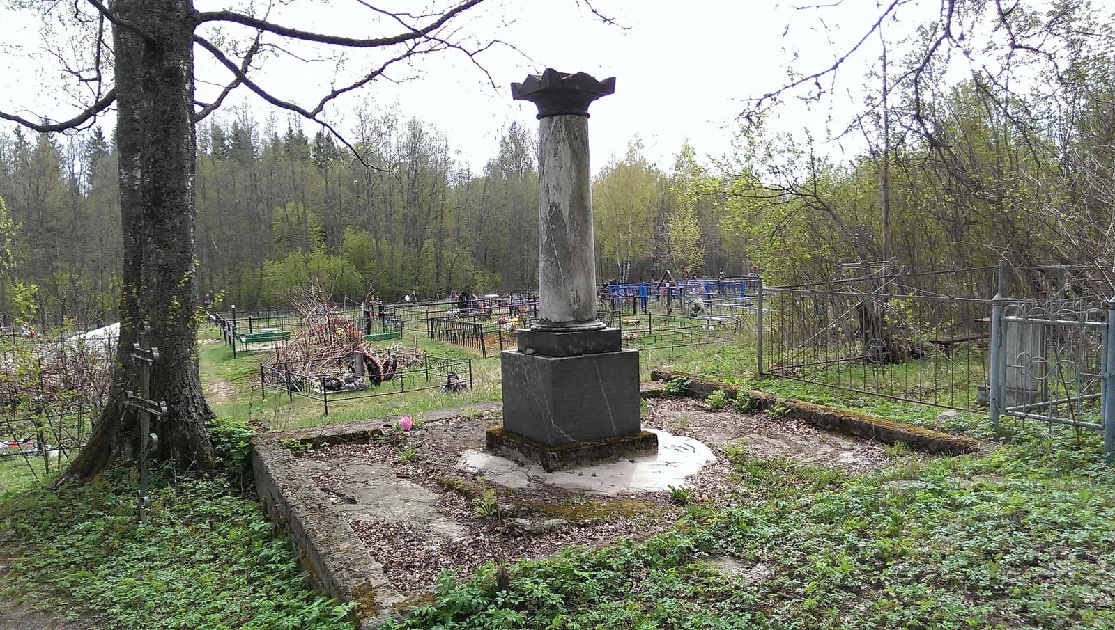 Merjowo
