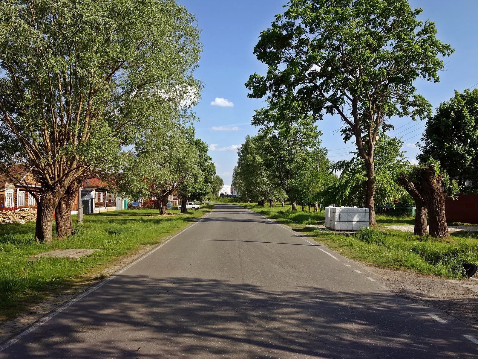 Savaslejka