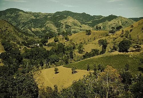 Corozal