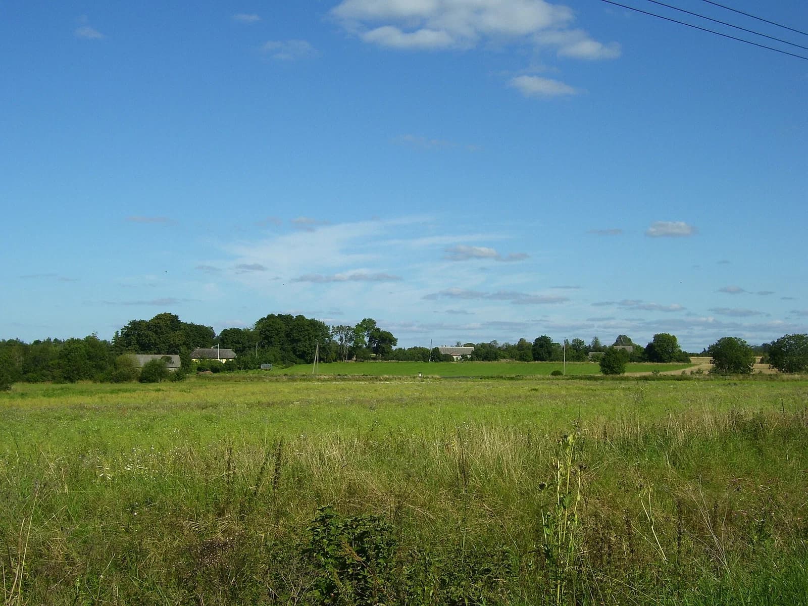 Muuksi