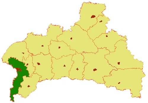 Brest district