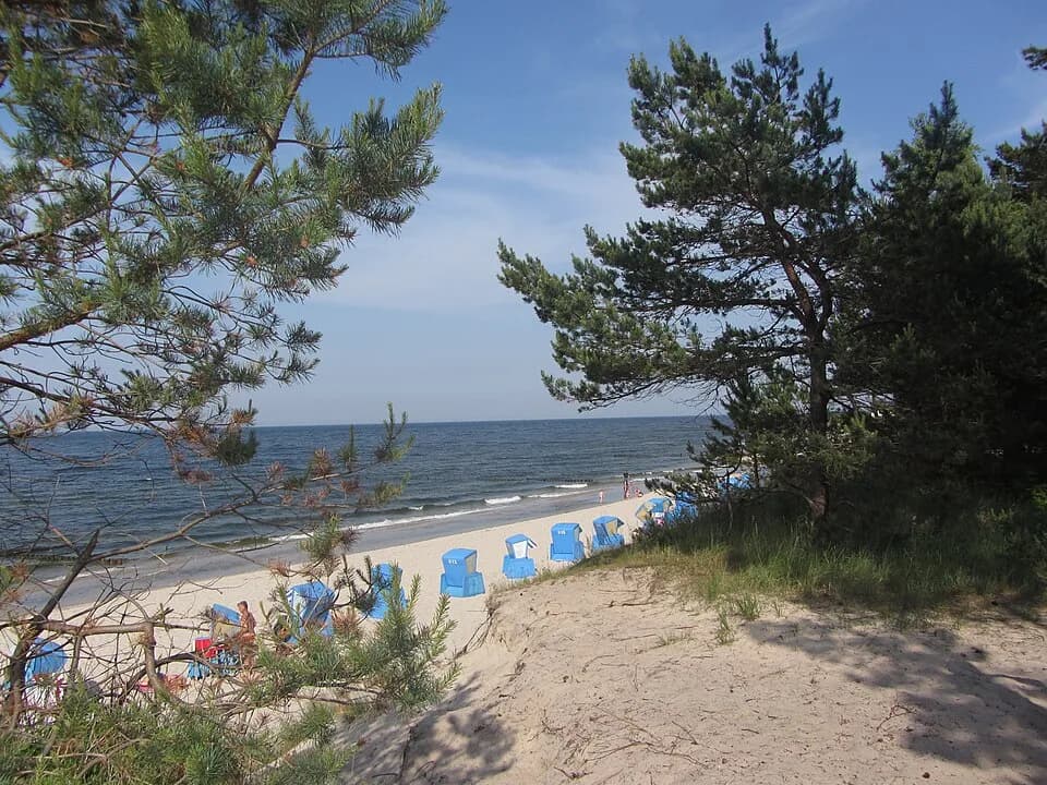 Zempin
