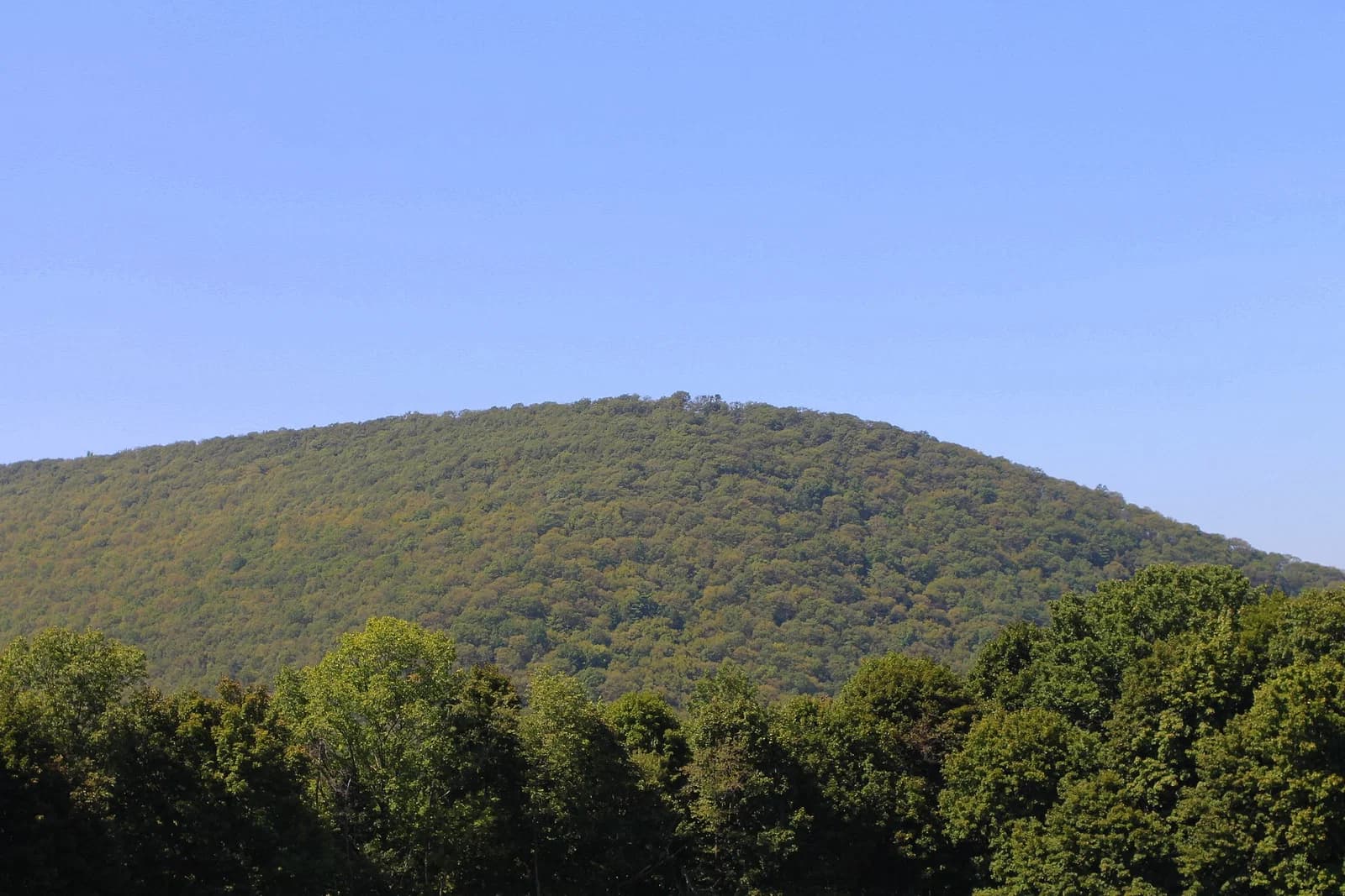 Coal Township