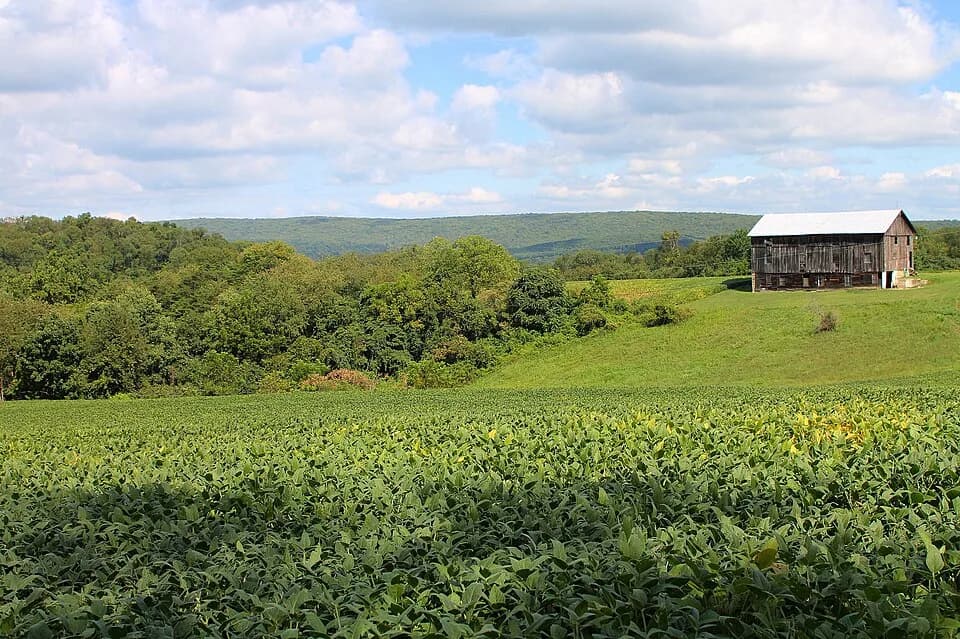 Rush Township