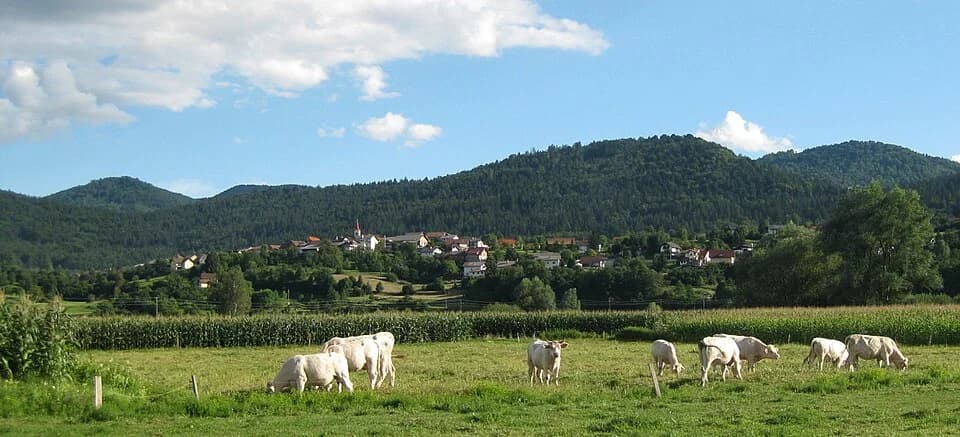 Kamnik pod Krimom