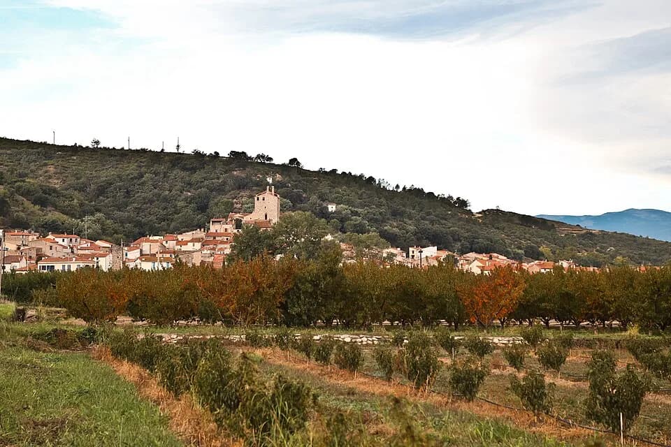 Bouleternère