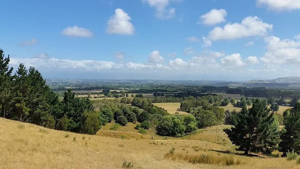 Martinborough