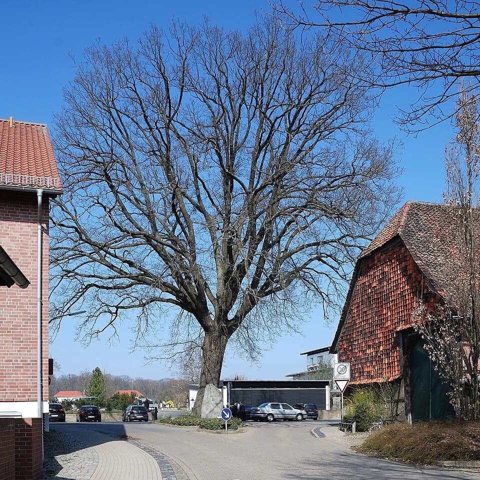 Mascherode