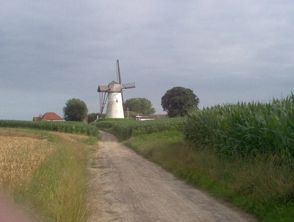 Denderwindeke