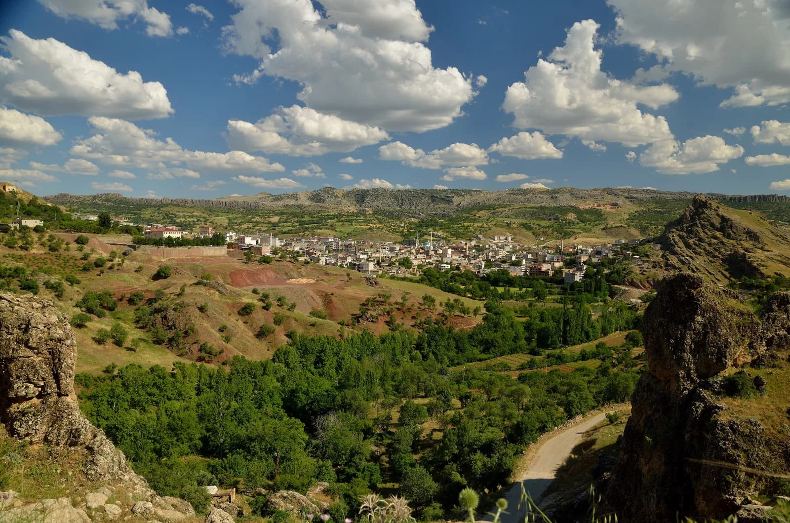 Çermik district
