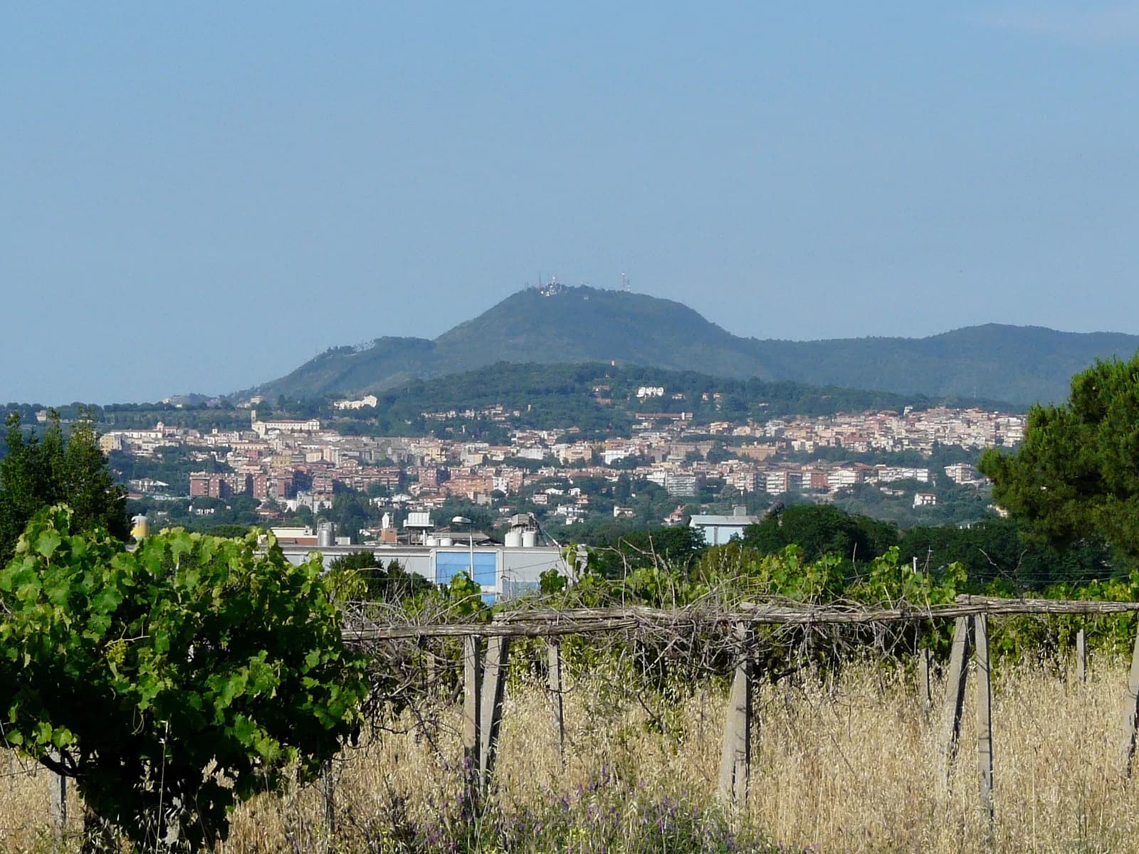 Albano Laziale