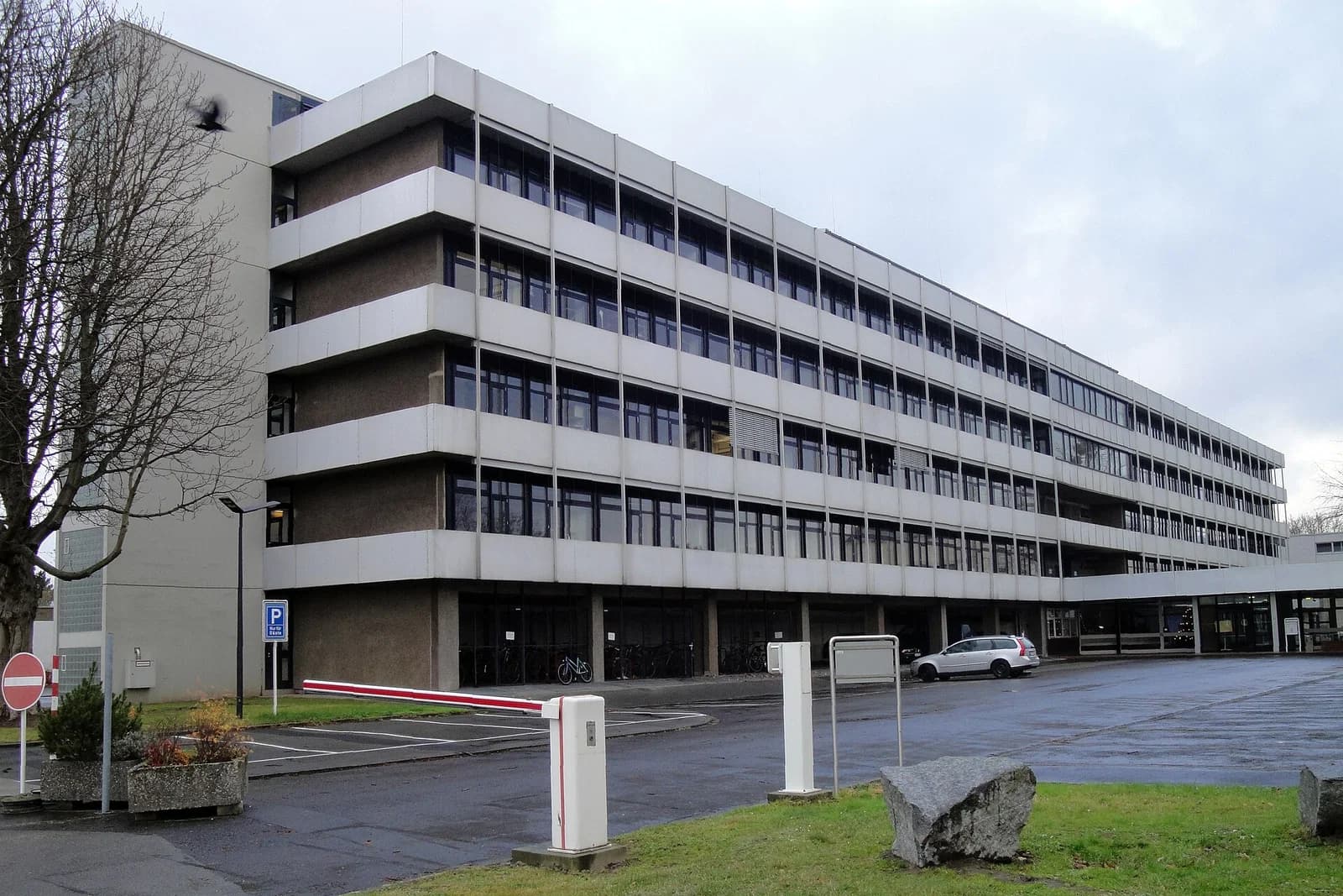 Max Planck Institute for Experimental Medicine