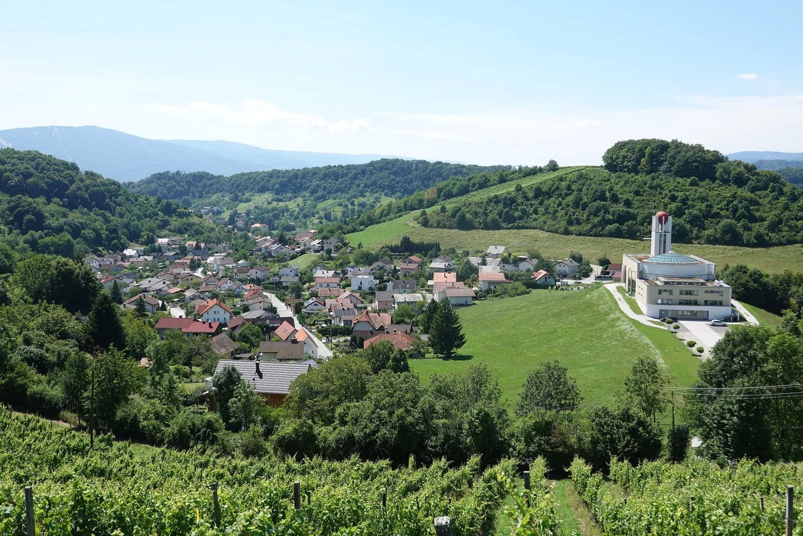 Košaki