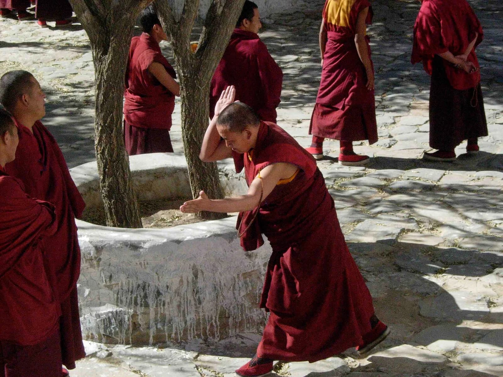 Lama