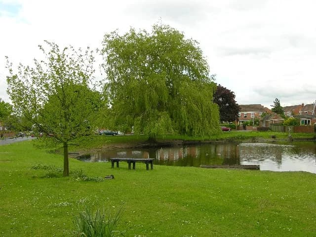 Wigginton