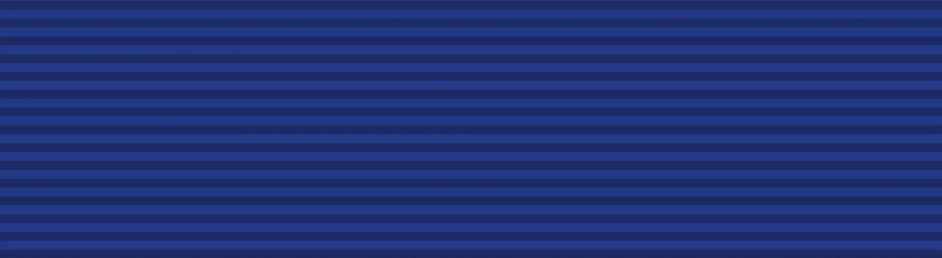 Vaardigheidsmedaille van de Nederlandse Sport Federatie