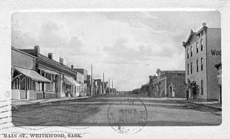 Whitewood
