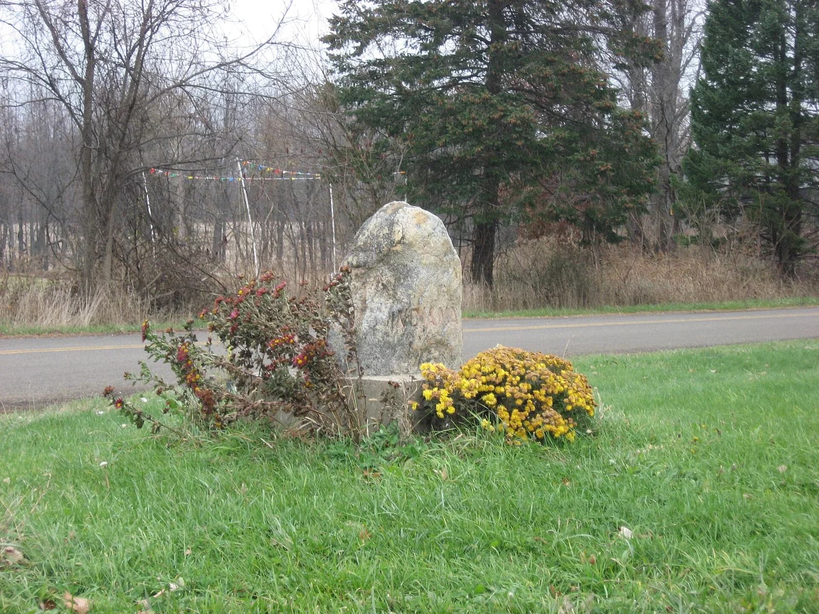 Bertrand Township