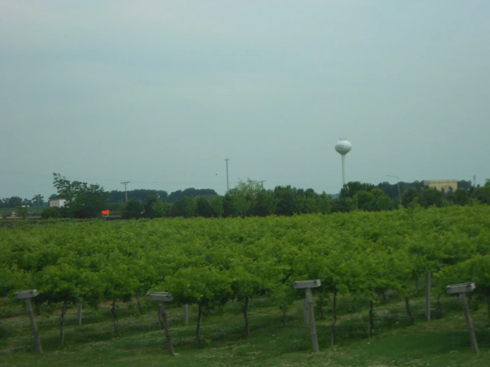 Maple Park