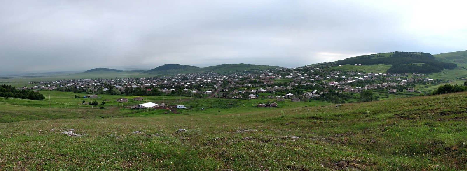 Metsavan