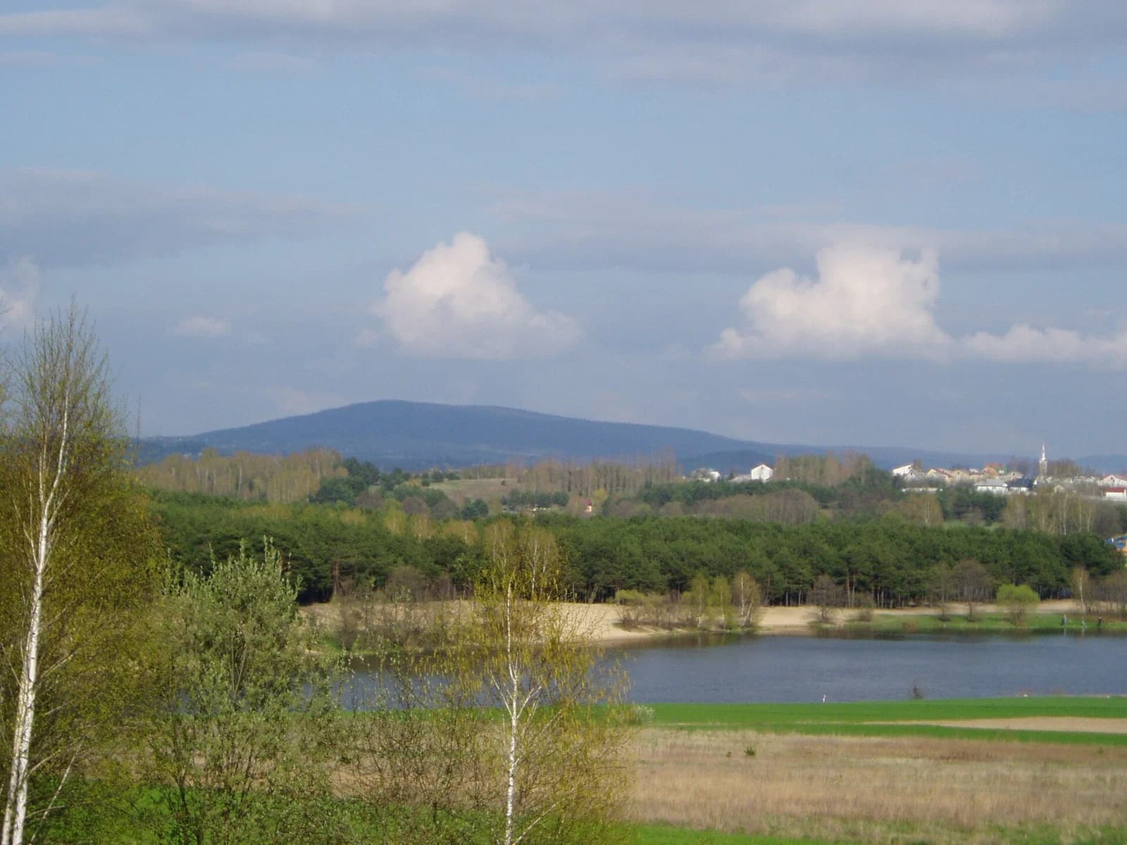 Cedzyna