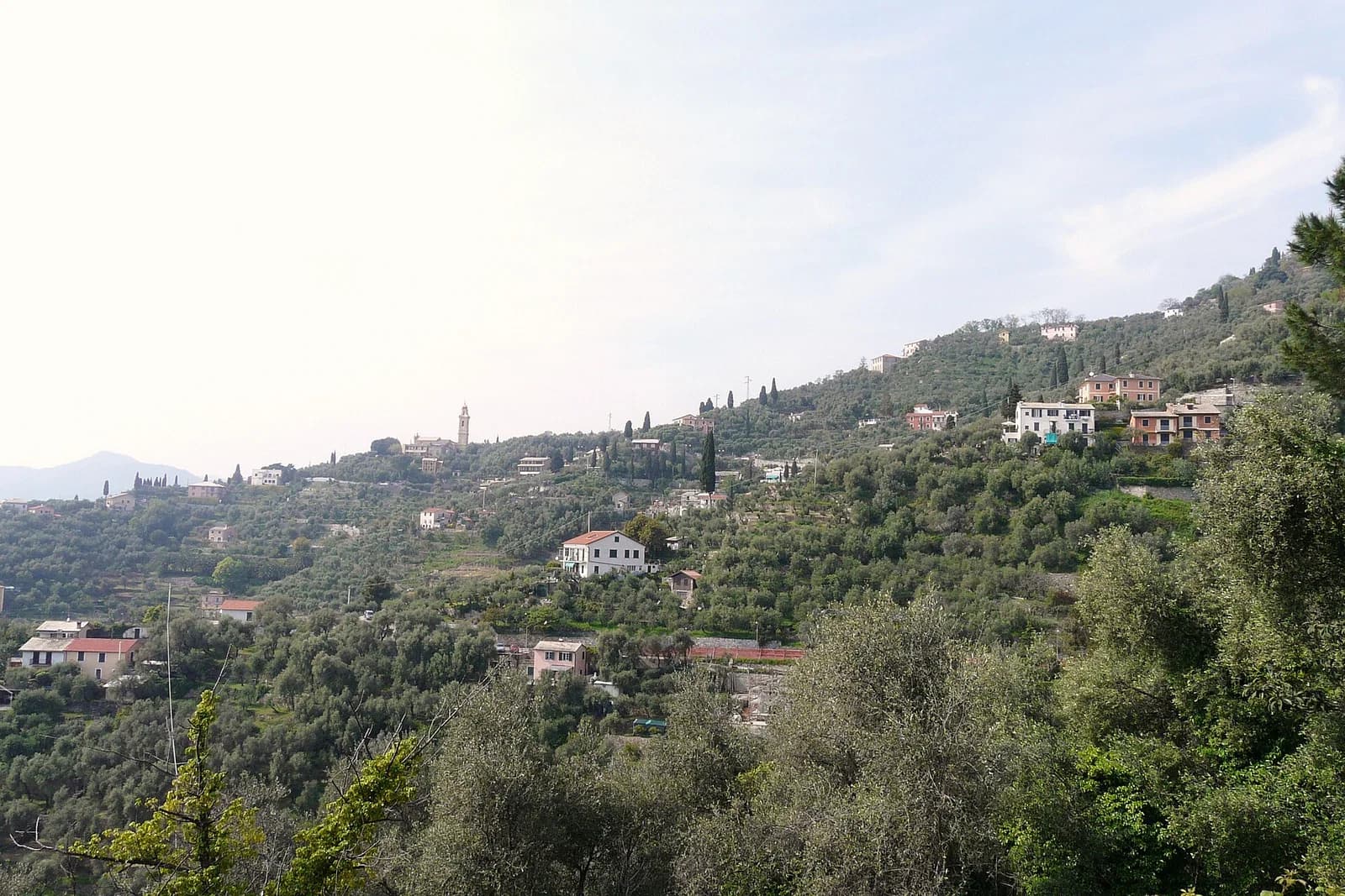 Sant'Ambrogio della Costa