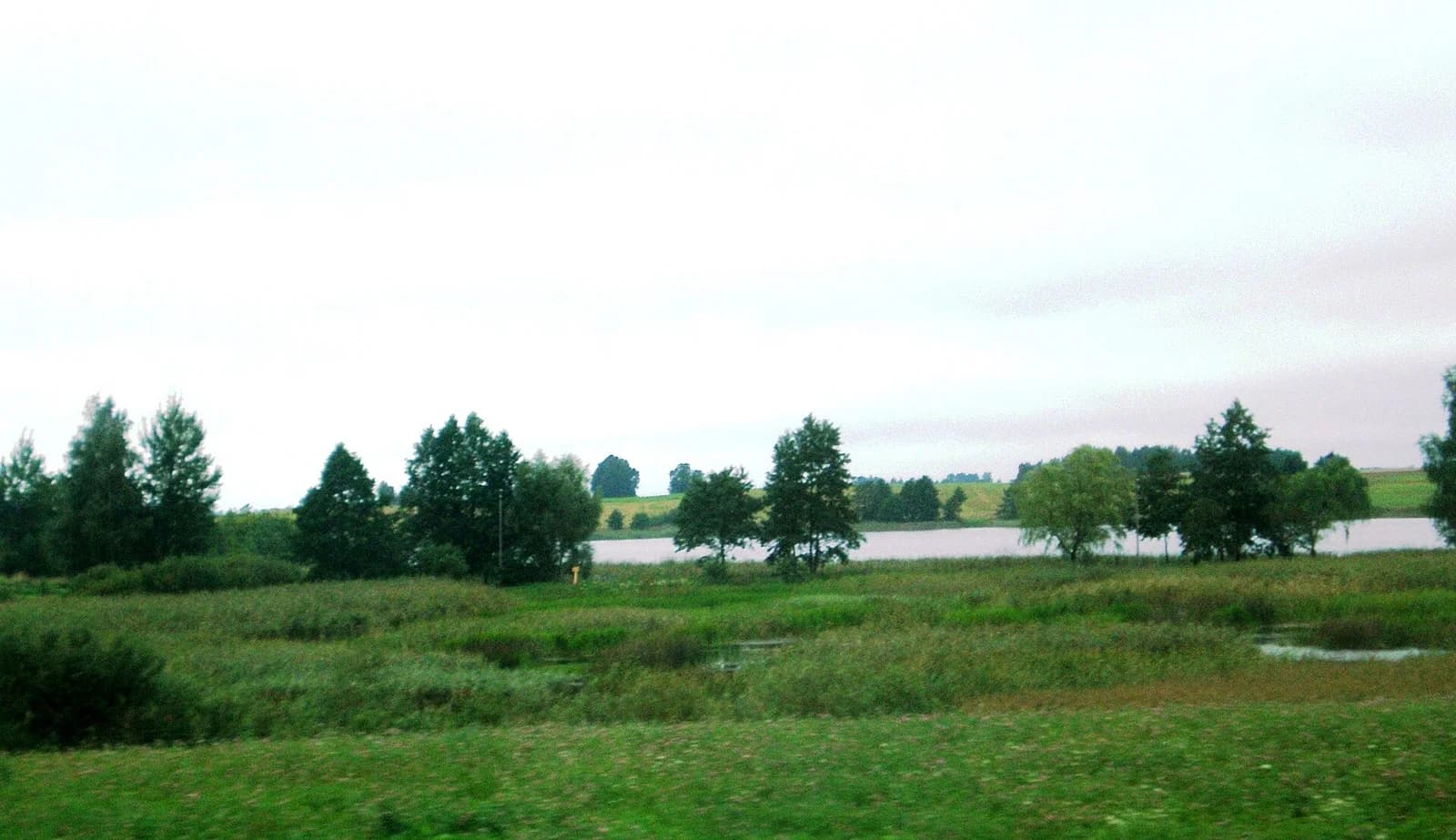 Marijampolė Municipality