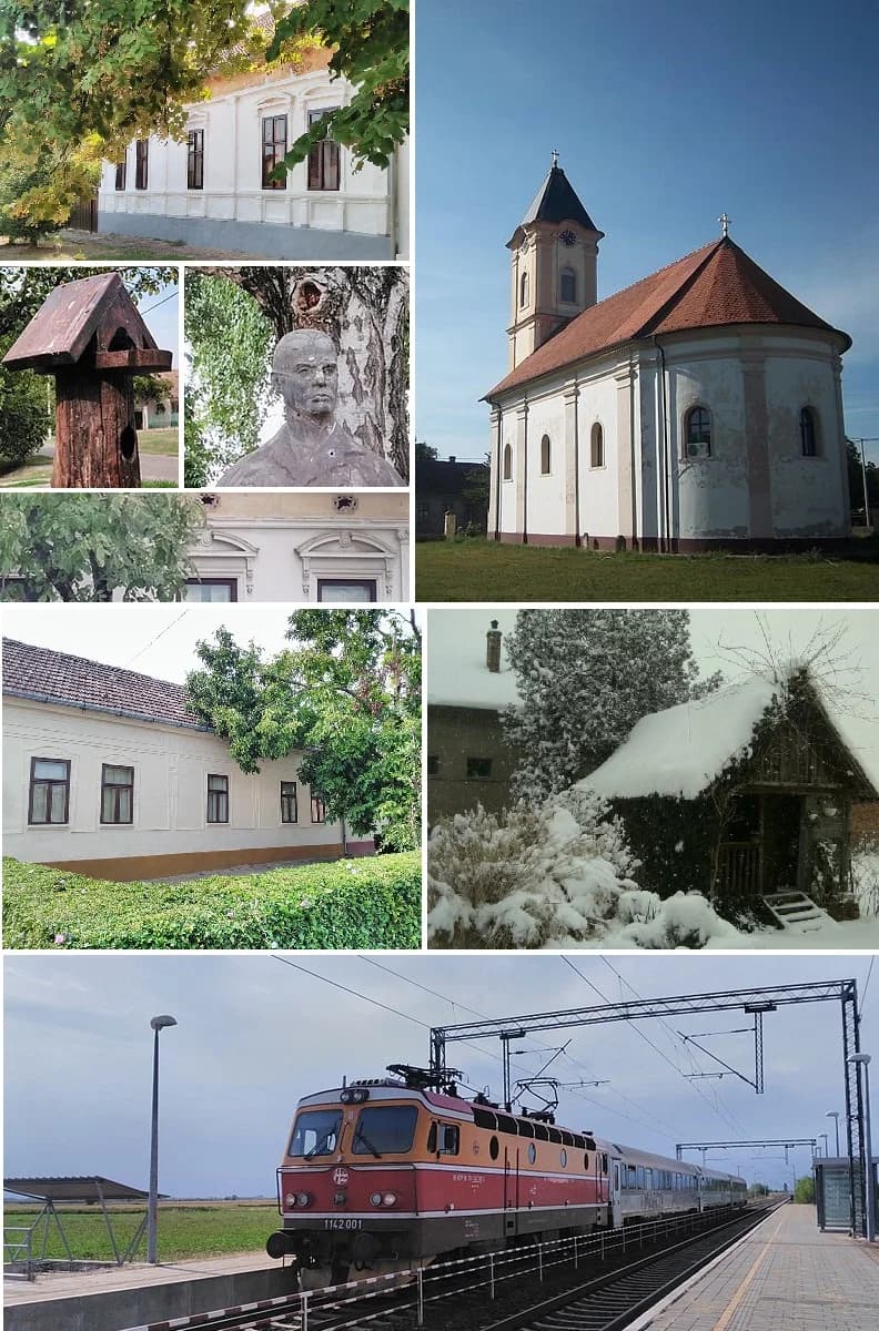 Banovci
