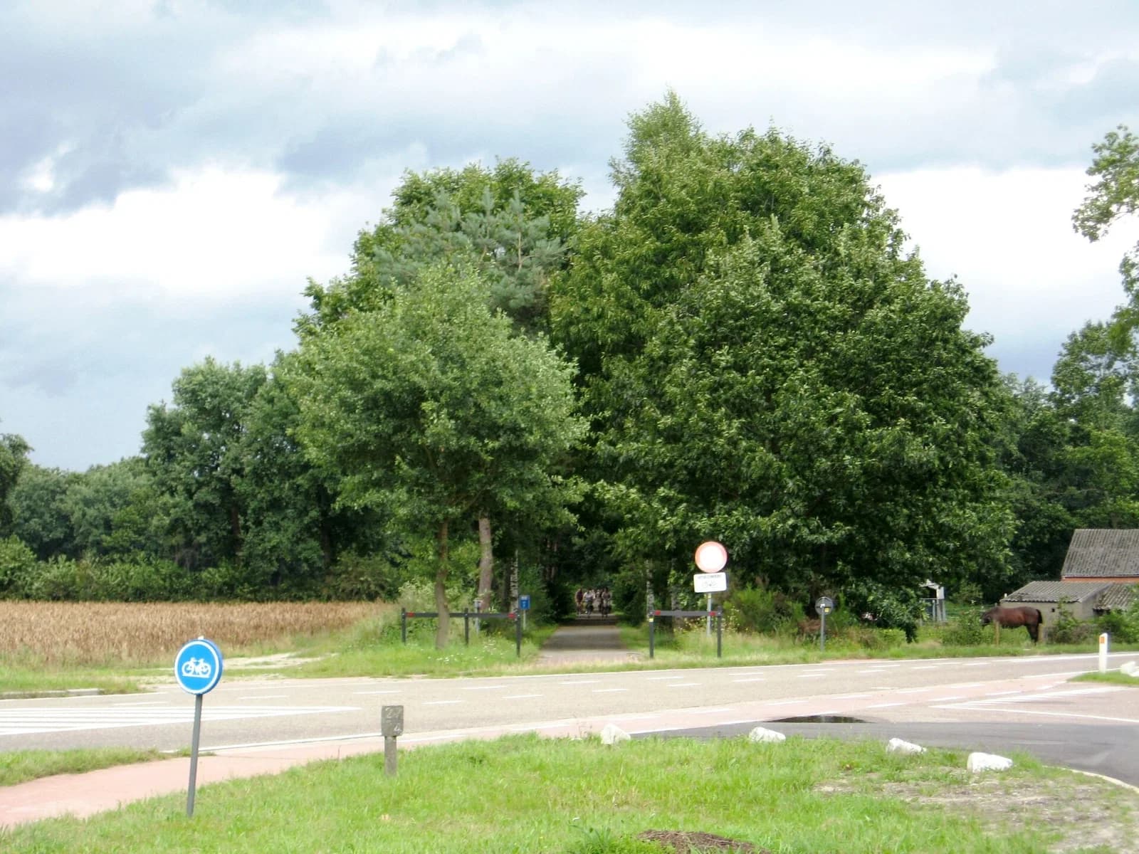 Eksel