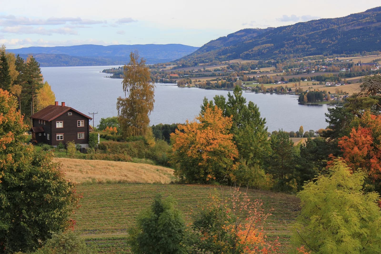 Totenvika