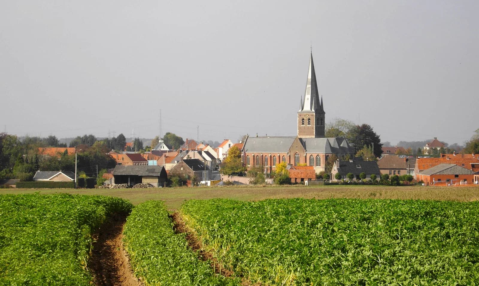 Wortegem