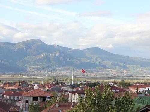 Pamukova district