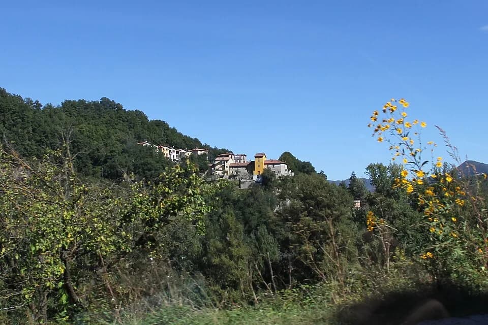 Riola