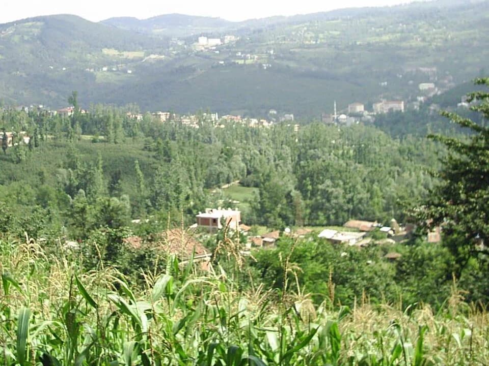 Gölköy