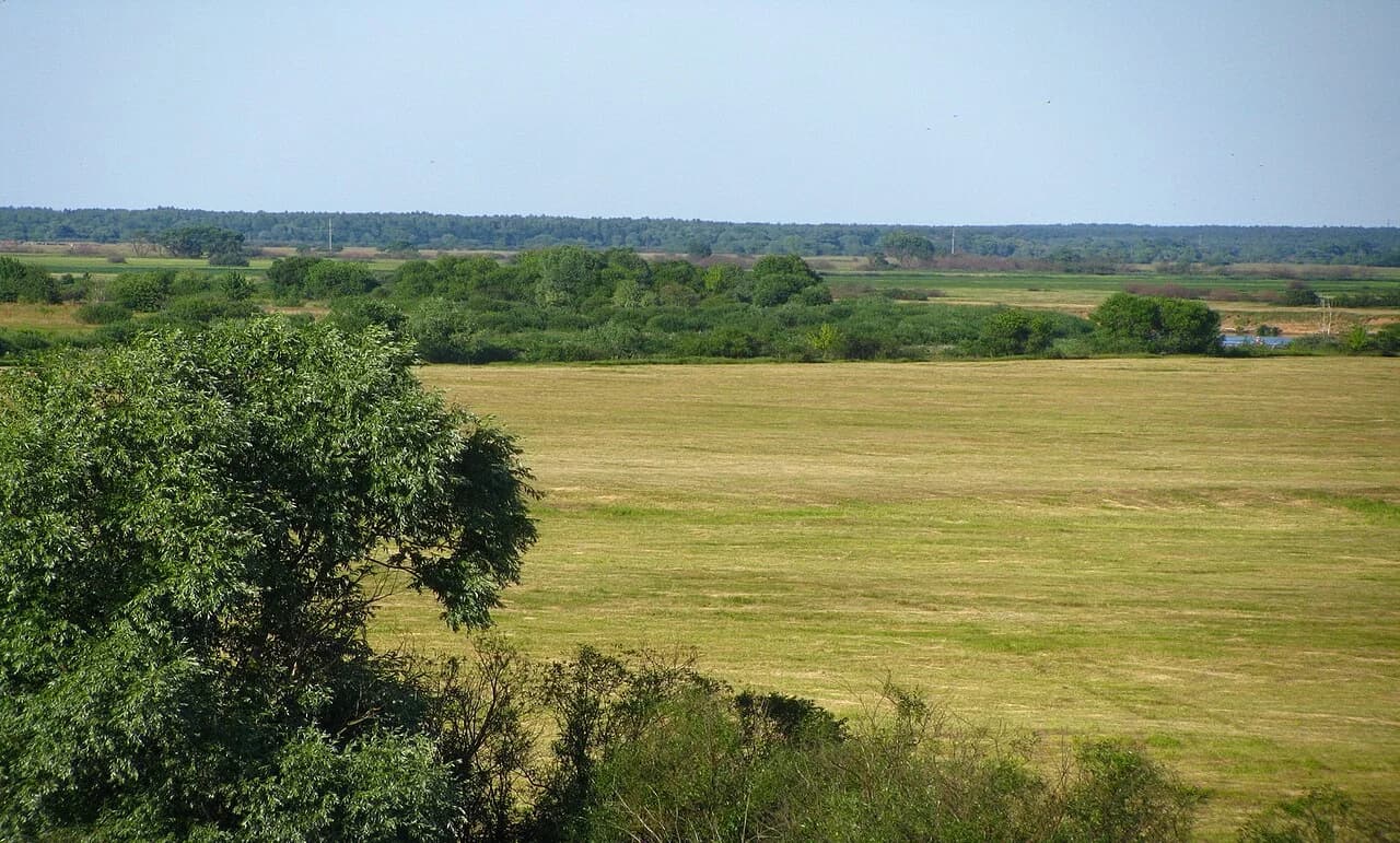 Rahachow district