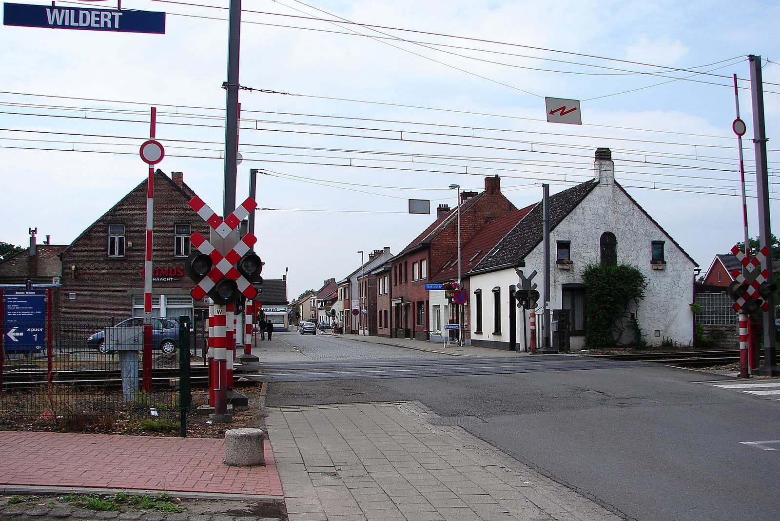 Wildert