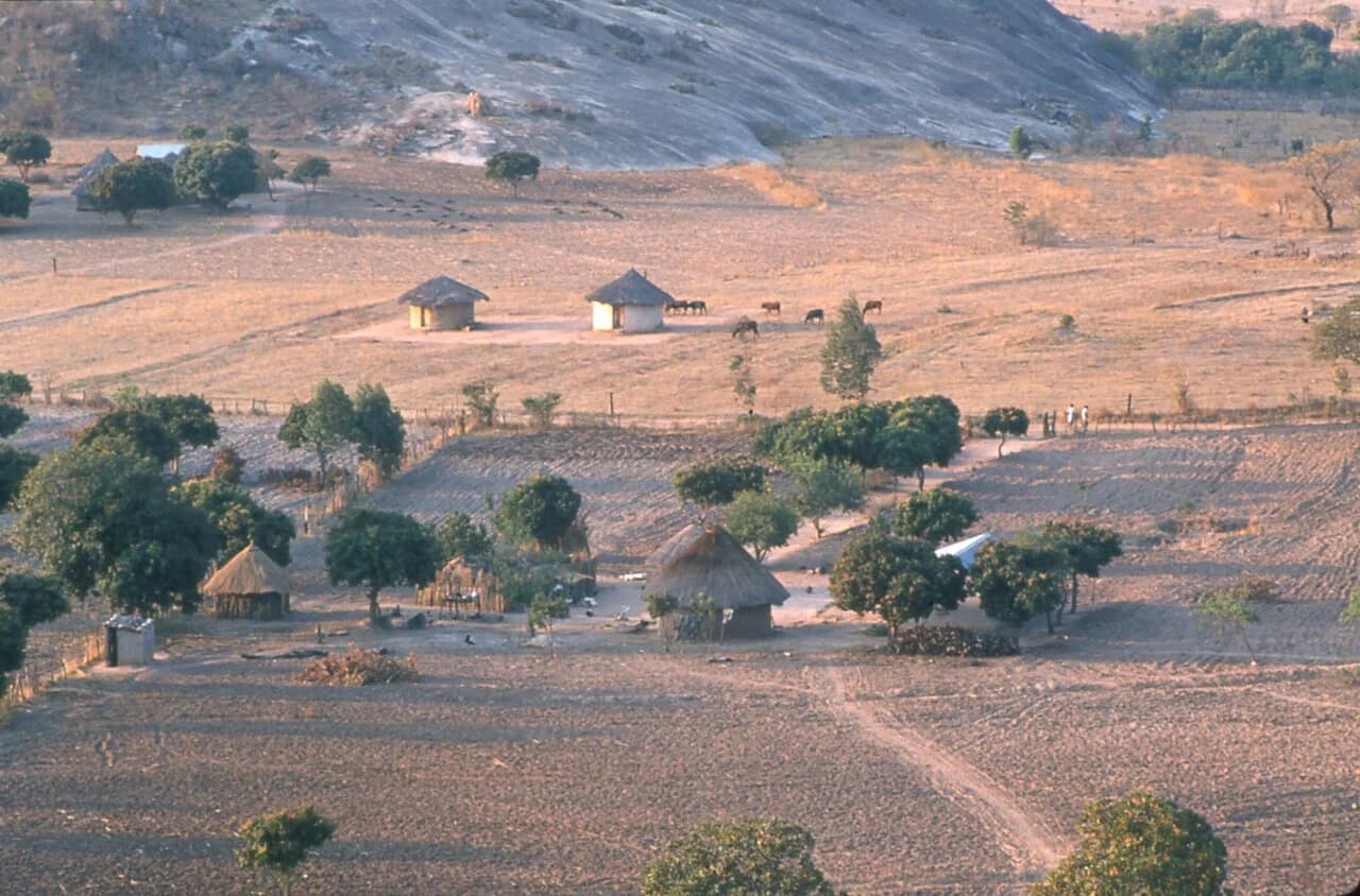 Murewa