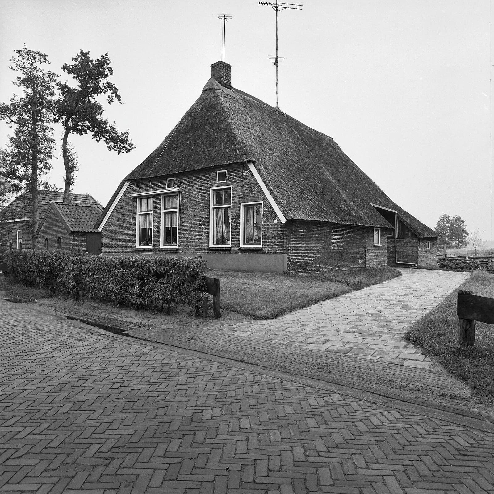 Weerwille