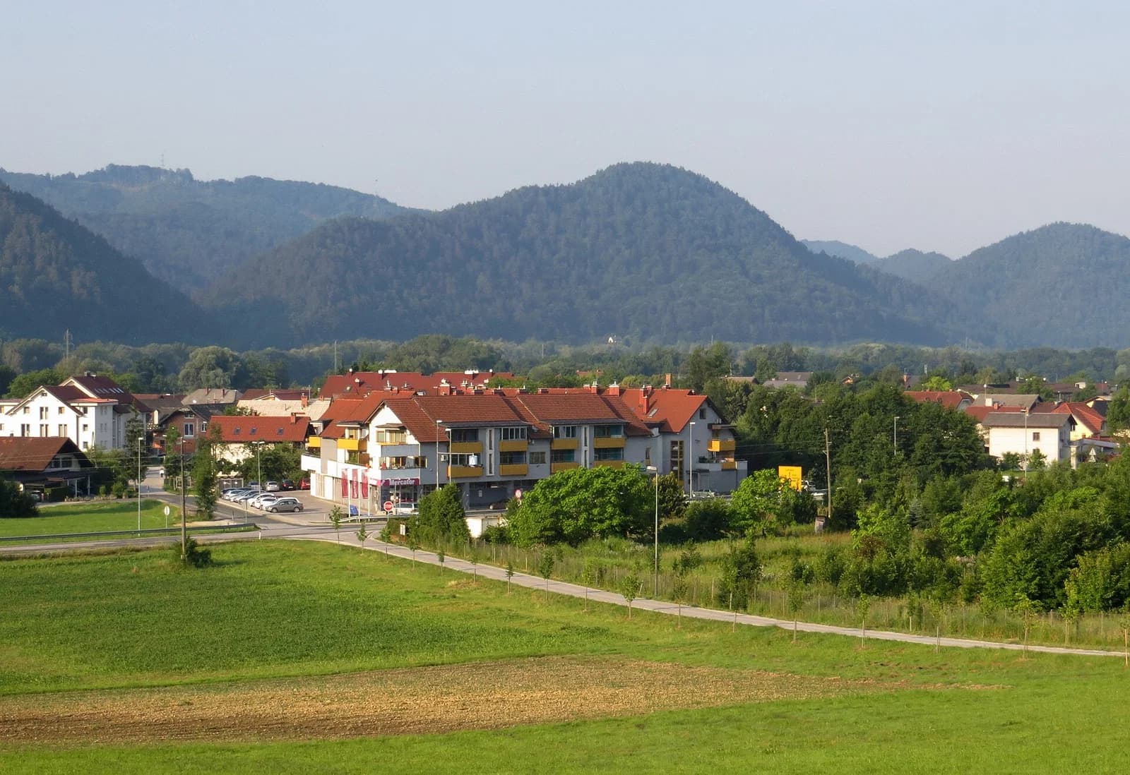 Dolsko