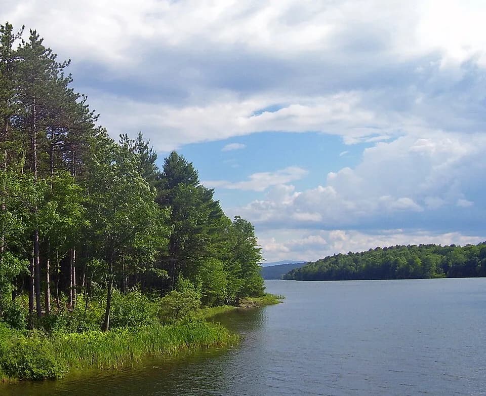 Coeymans