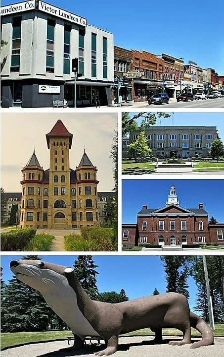 Fergus Falls
