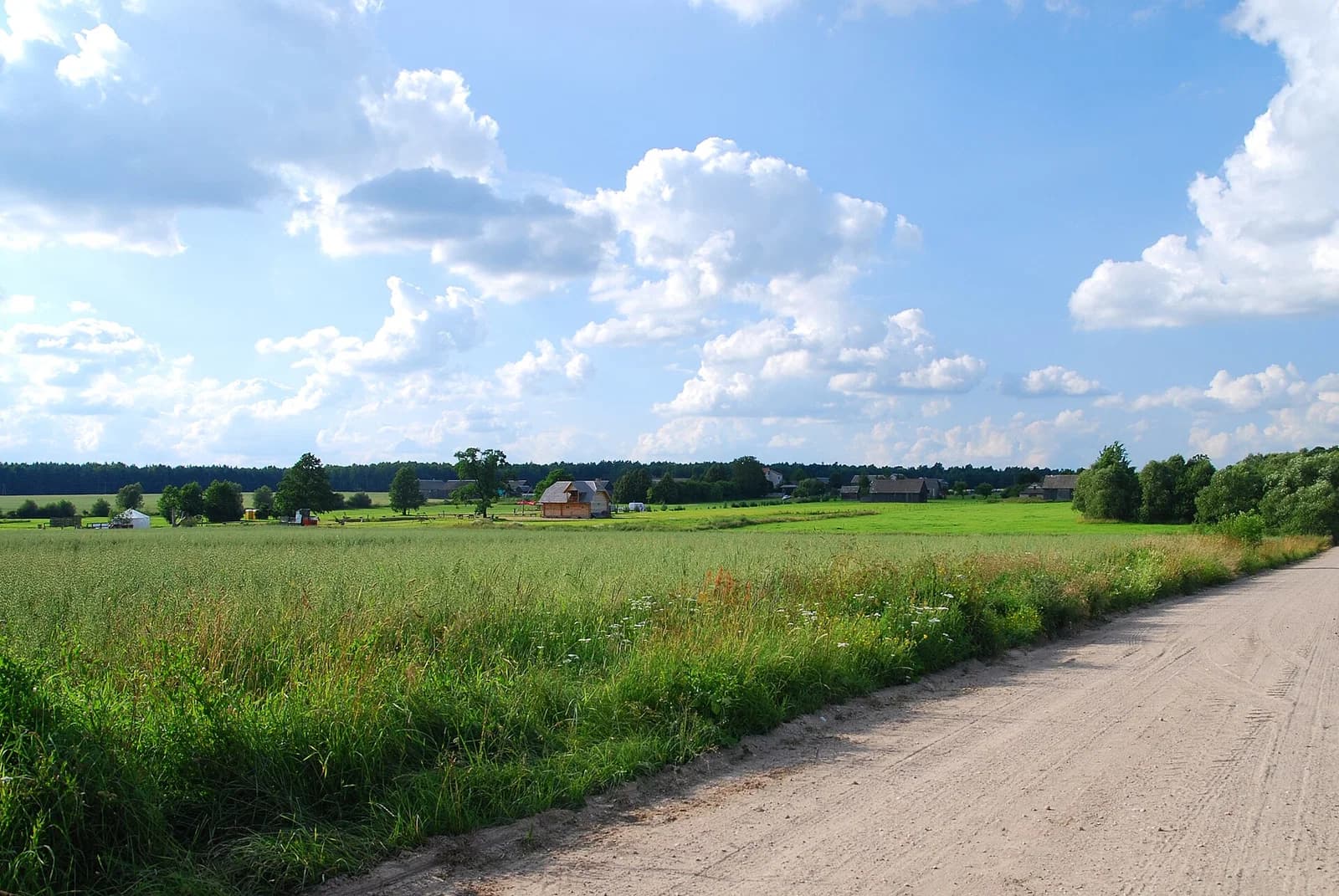 Jasionówka