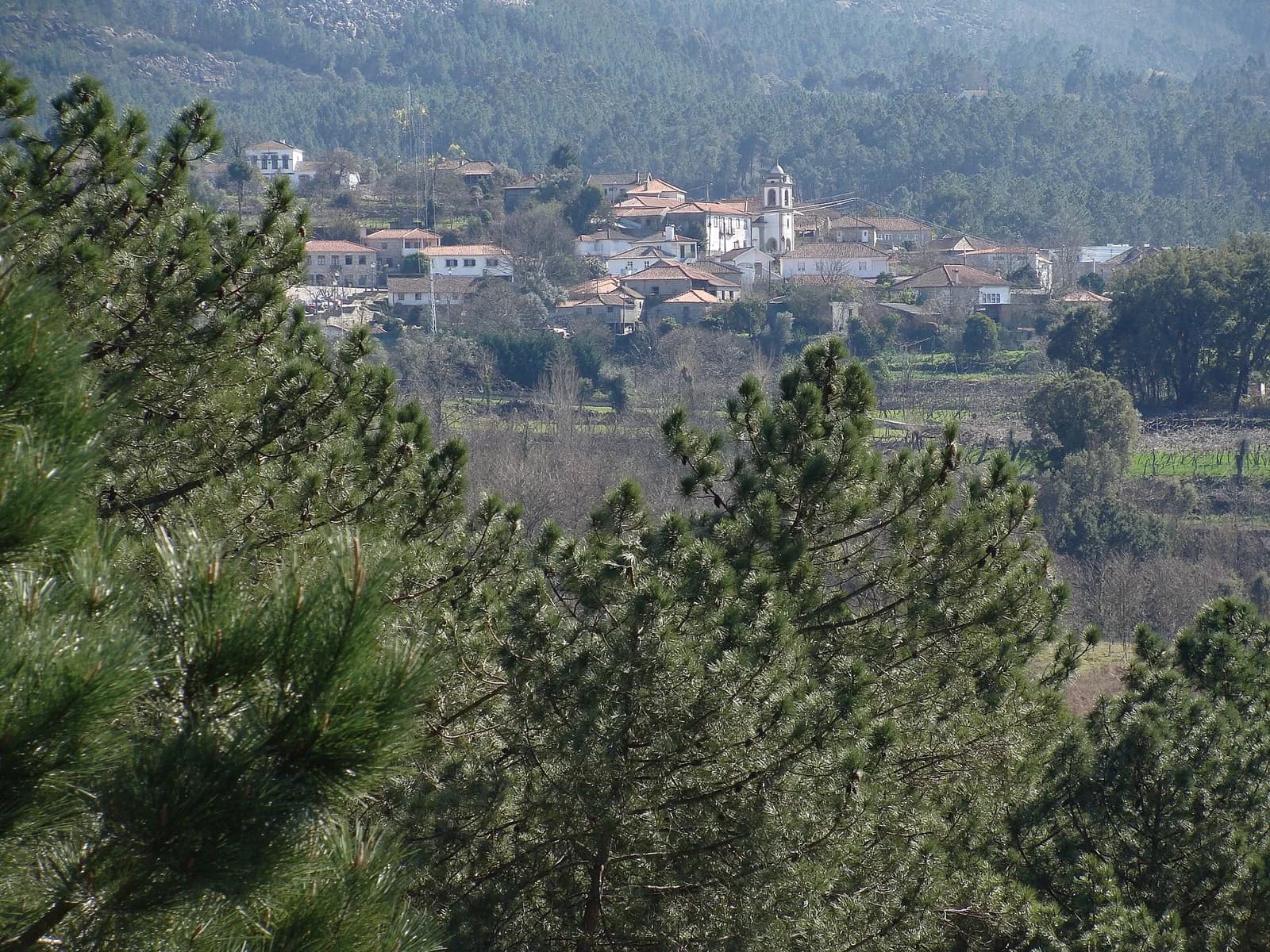 Atei