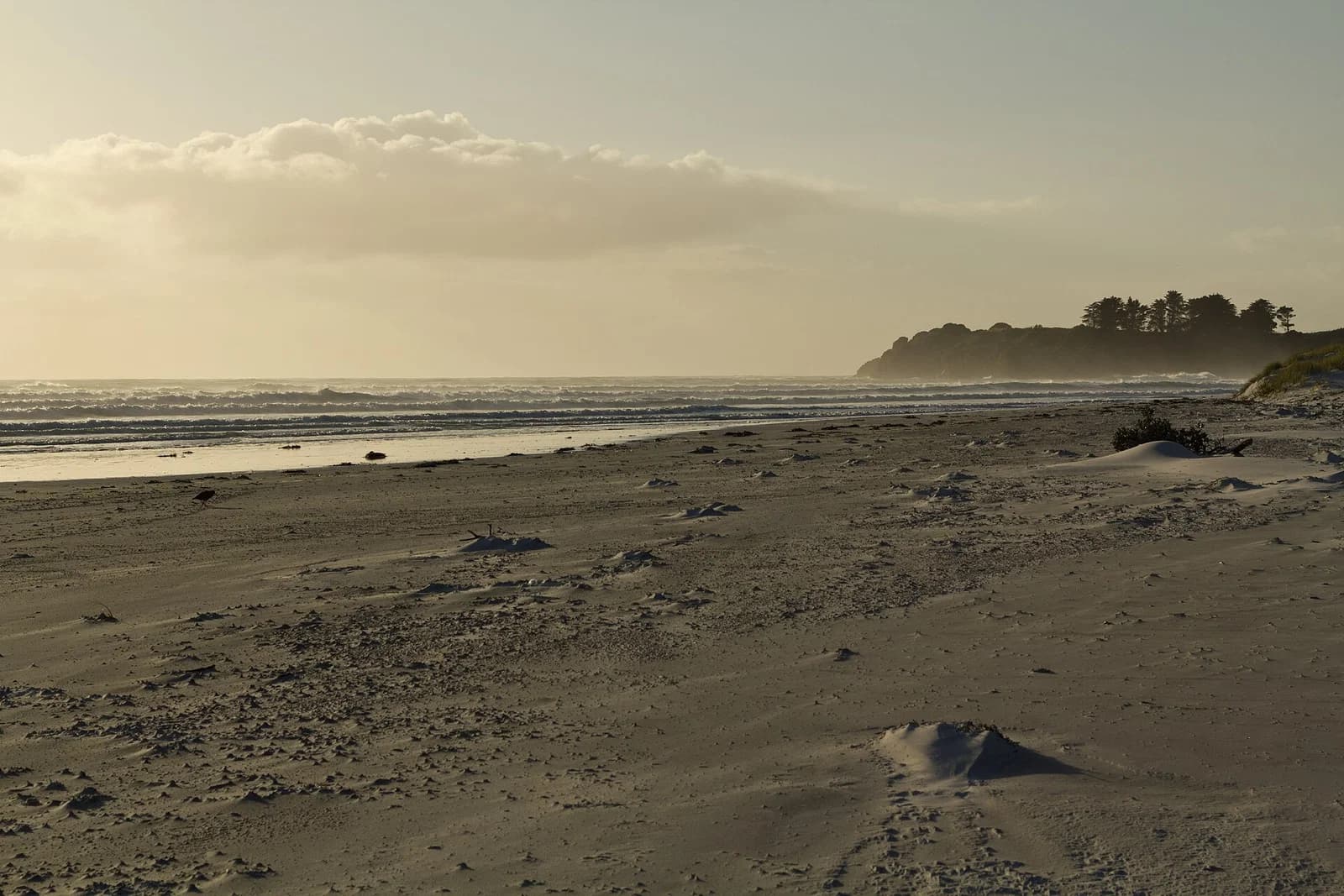 Ngātaki