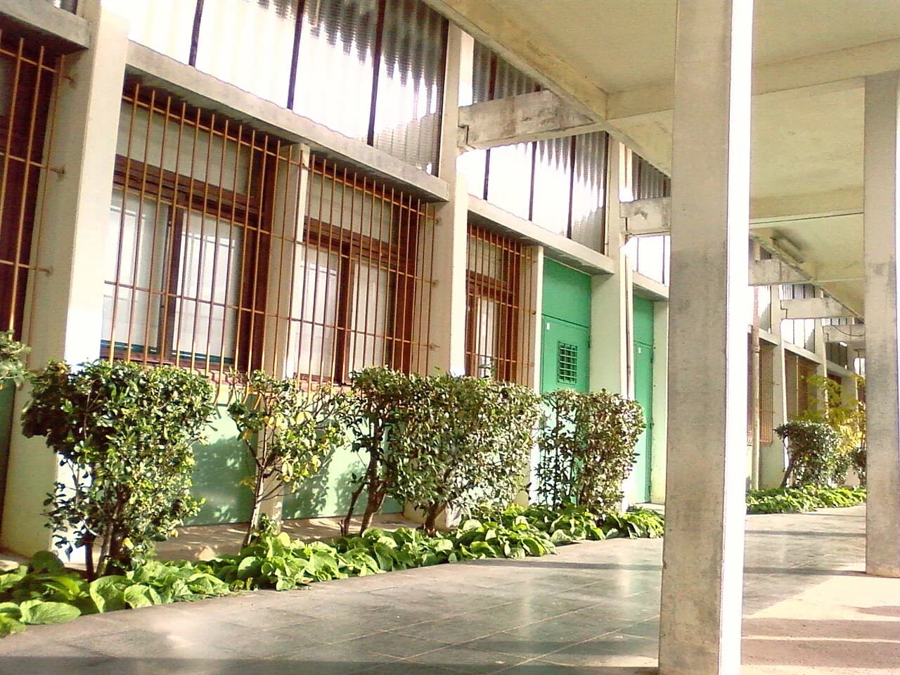Faculty of Sciences of Montpellier
