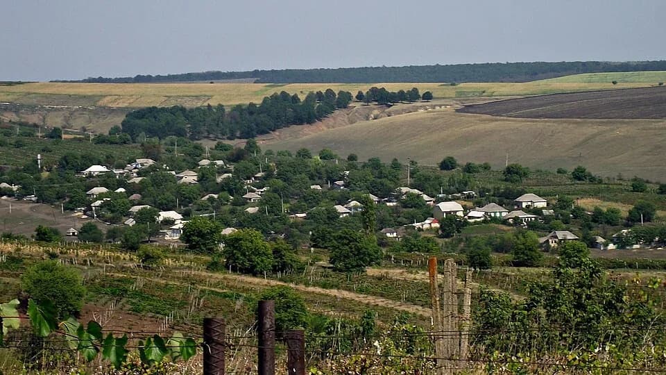 Susleni