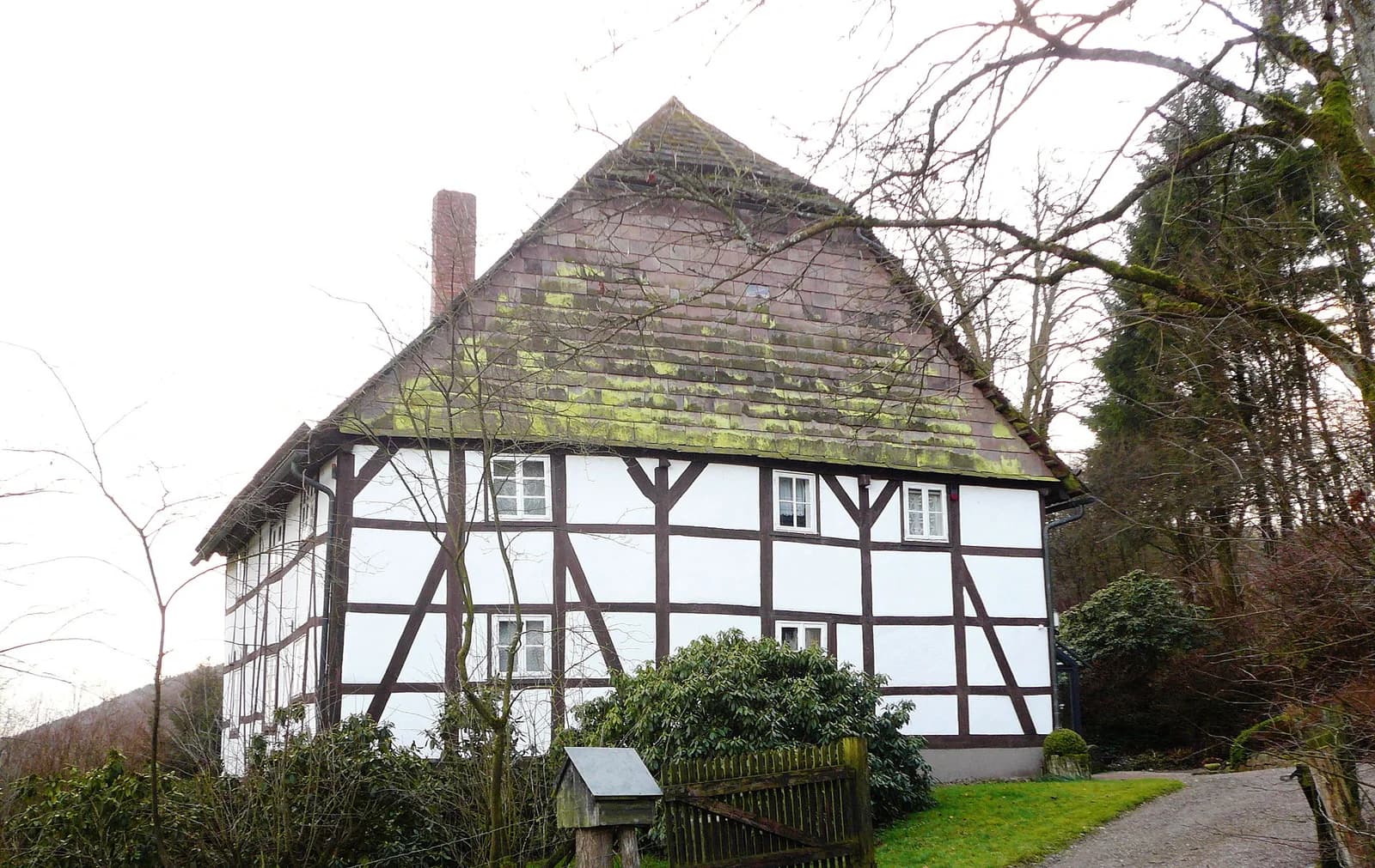 Nienover