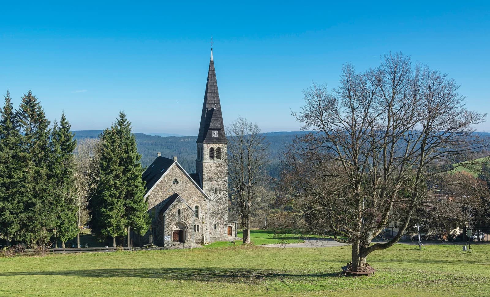 Zieleniec